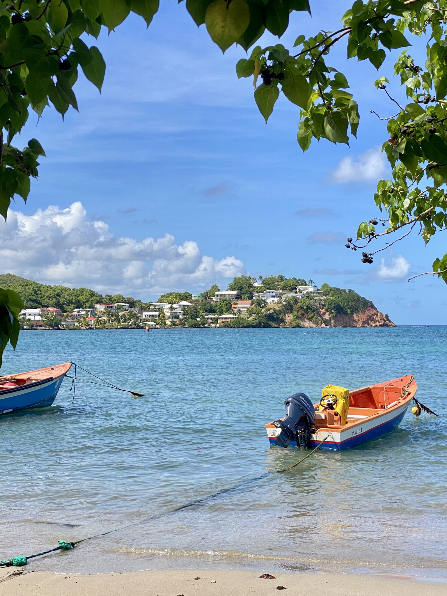 Barques de pêcheurs colorées dans la baie de Tartane, le village de la presqu'île de la Caravelle en arrière-plan